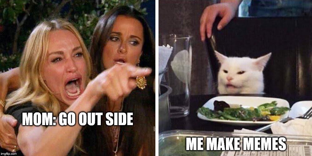 Smudge the cat | MOM: GO OUT SIDE; ME MAKE MEMES | image tagged in smudge the cat | made w/ Imgflip meme maker