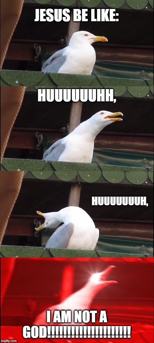 Inhaling Seagull Meme | JESUS BE LIKE:; HUUUUUUHH, HUUUUUUUH, I AM NOT A GOD!!!!!!!!!!!!!!!!!!!!! | image tagged in memes,inhaling seagull | made w/ Imgflip meme maker