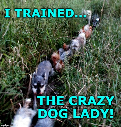 Crazy Dog Lady | I TRAINED... THE CRAZY DOG LADY! | image tagged in crazy dog lady,dog memes,funny,funny dog memes | made w/ Imgflip meme maker