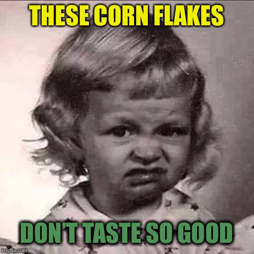 Disgusted little girl  | THESE CORN FLAKES DON’T TASTE SO GOOD | image tagged in disgusted little girl | made w/ Imgflip meme maker