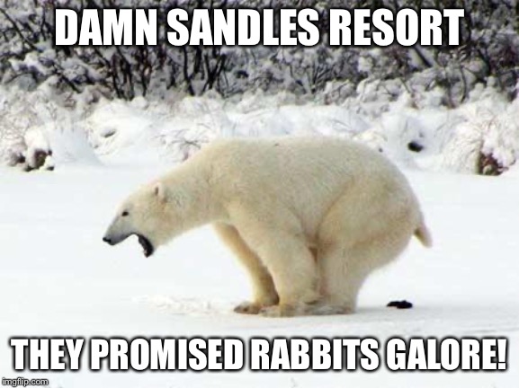 Polar Bear Shits in the Snow | DAMN SANDLES RESORT; THEY PROMISED RABBITS GALORE! | image tagged in polar bear shits in the snow | made w/ Imgflip meme maker
