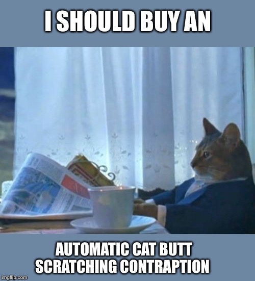 I Should Buy A Boat Cat Meme | I SHOULD BUY AN AUTOMATIC CAT BUTT SCRATCHING CONTRAPTION | image tagged in memes,i should buy a boat cat | made w/ Imgflip meme maker