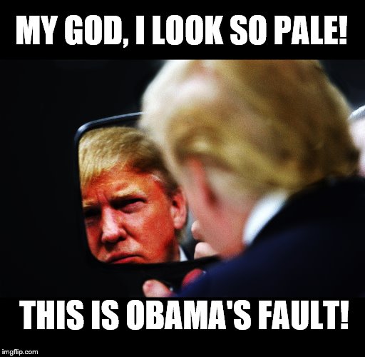 Mirror Mirror... | MY GOD, I LOOK SO PALE! THIS IS OBAMA'S FAULT! | image tagged in impeach trump,trump is a moron,impeach | made w/ Imgflip meme maker
