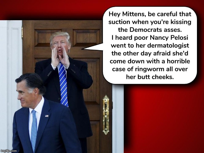 Mitt Romney.Another Democrat pretending he's a Republican | image tagged in politics,political,mitt romney | made w/ Imgflip meme maker