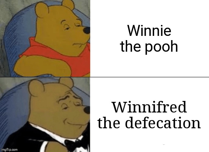 Tuxedo Winnie The Pooh Meme | Winnie the pooh; Winnifred the defecation | image tagged in memes,tuxedo winnie the pooh | made w/ Imgflip meme maker