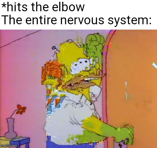 *hits the elbow

The entire nervous system: | made w/ Imgflip meme maker