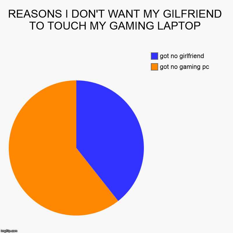 reasons.jpg | REASONS I DON'T WANT MY GILFRIEND TO TOUCH MY GAMING LAPTOP | got no gaming pc , got no girlfriend | image tagged in charts,pie charts,reason | made w/ Imgflip chart maker