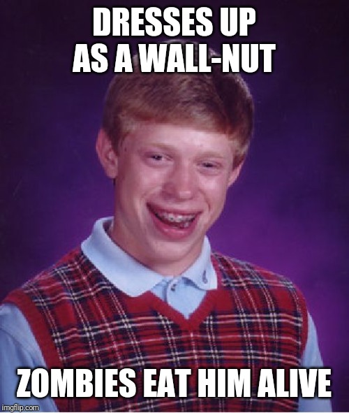 Bad Luck Brian Meme | DRESSES UP AS A WALL-NUT; ZOMBIES EAT HIM ALIVE | image tagged in memes,bad luck brian | made w/ Imgflip meme maker