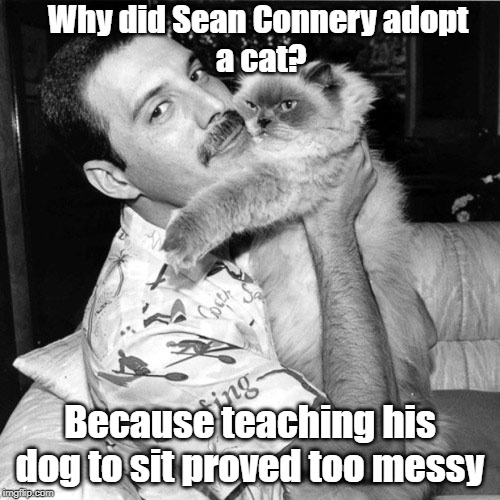 Sean Connery | Why did Sean Connery adopt
 a cat? Because teaching his dog to sit proved too messy | image tagged in funny cat memes | made w/ Imgflip meme maker