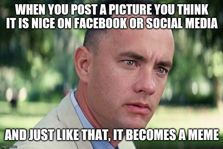 And Just Like That | WHEN YOU POST A PICTURE YOU THINK IT IS NICE ON FACEBOOK OR SOCIAL MEDIA; AND JUST LIKE THAT, IT BECOMES A MEME | image tagged in memes,and just like that | made w/ Imgflip meme maker