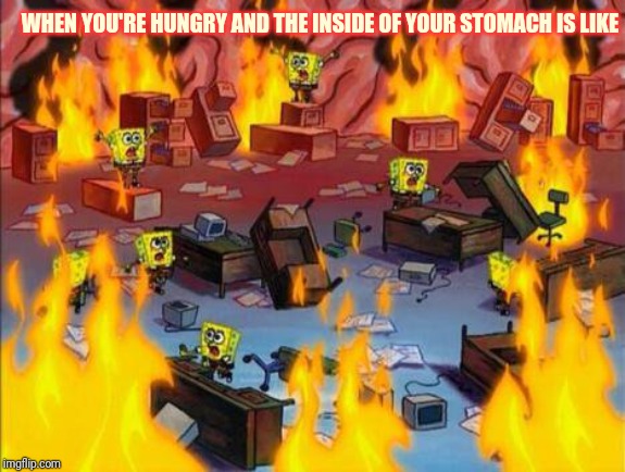 Spongebob panic | WHEN YOU'RE HUNGRY AND THE INSIDE OF YOUR STOMACH IS LIKE | image tagged in spongebob panic | made w/ Imgflip meme maker