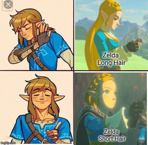 Zelda’s new haircut | image tagged in zelda | made w/ Imgflip meme maker