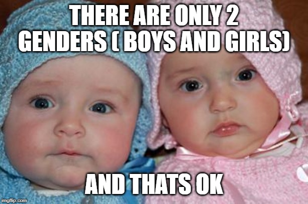 Boy and girl | THERE ARE ONLY 2 GENDERS ( BOYS AND GIRLS); AND THATS OK | image tagged in boy and girl | made w/ Imgflip meme maker