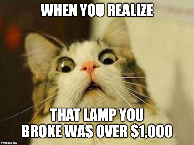 Scared Cat Meme | WHEN YOU REALIZE; THAT LAMP YOU BROKE WAS OVER $1,000 | image tagged in memes,scared cat | made w/ Imgflip meme maker