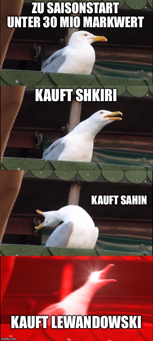 Inhaling Seagull | ZU SAISONSTART UNTER 30 MIO MARKWERT; KAUFT SHKIRI; KAUFT SAHIN; KAUFT LEWANDOWSKI | image tagged in memes,inhaling seagull | made w/ Imgflip meme maker