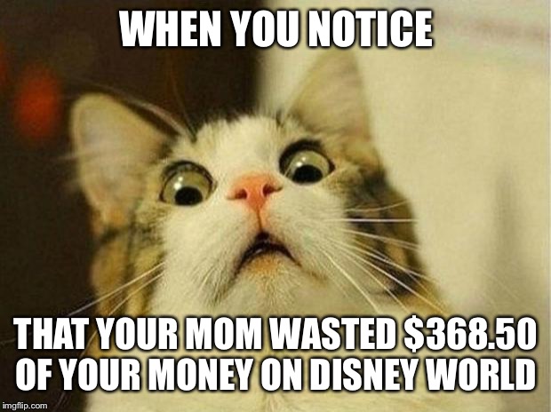 Scared Cat | WHEN YOU NOTICE; THAT YOUR MOM WASTED $368.50 OF YOUR MONEY ON DISNEY WORLD | image tagged in memes,scared cat | made w/ Imgflip meme maker