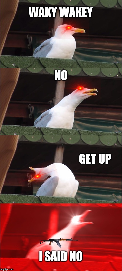 Inhaling Seagull Meme | WAKY WAKEY; NO; GET UP; I SAID NO | image tagged in memes,inhaling seagull | made w/ Imgflip meme maker