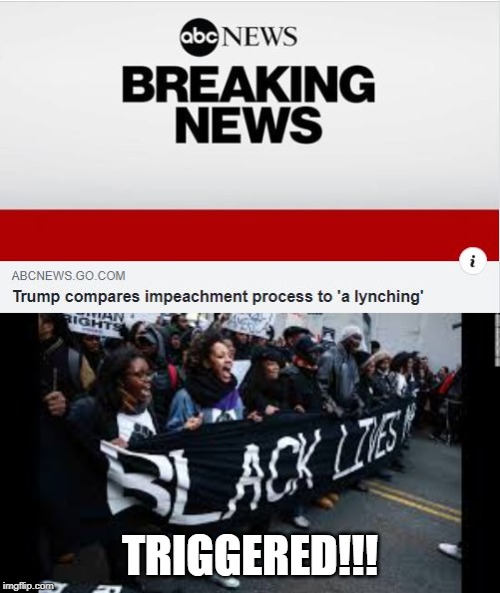 Let the Mayhem Begin | TRIGGERED!!! | image tagged in black protests | made w/ Imgflip meme maker