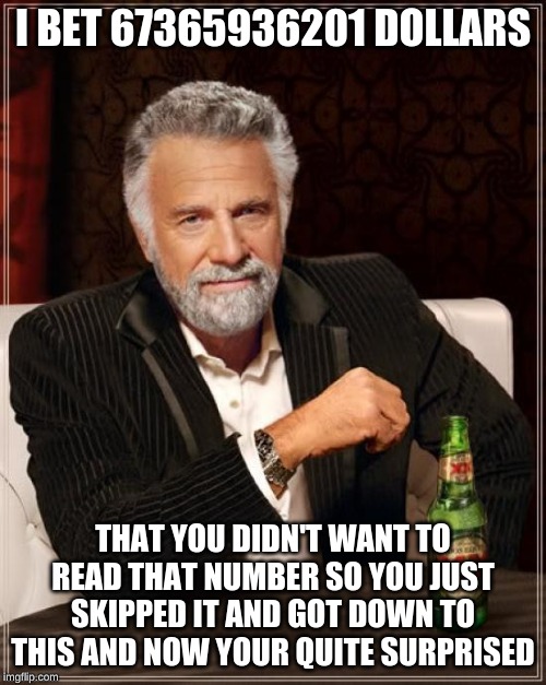 The Most Interesting Man In The World Meme | I BET 67365936201 DOLLARS; THAT YOU DIDN'T WANT TO READ THAT NUMBER SO YOU JUST SKIPPED IT AND GOT DOWN TO THIS AND NOW YOUR QUITE SURPRISED | image tagged in memes,the most interesting man in the world | made w/ Imgflip meme maker