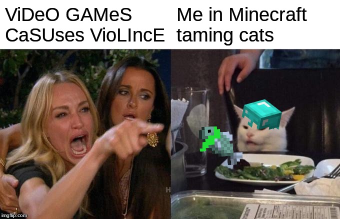 is Minecraft even popular at this point? | ViDeO GAMeS CaSUses VioLIncE; Me in Minecraft taming cats | image tagged in memes,woman yelling at a cat | made w/ Imgflip meme maker