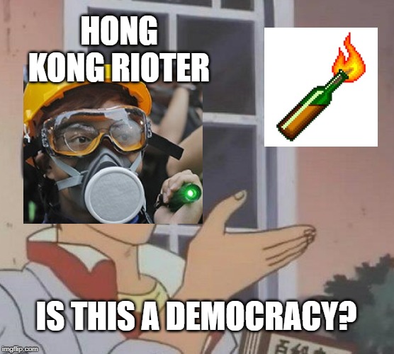 Is This A Pigeon Meme | HONG KONG RIOTER; IS THIS A DEMOCRACY? | image tagged in memes,is this a pigeon | made w/ Imgflip meme maker