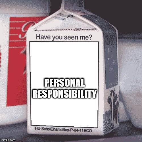 Missing Person | PERSONAL RESPONSIBILITY | image tagged in missing person | made w/ Imgflip meme maker