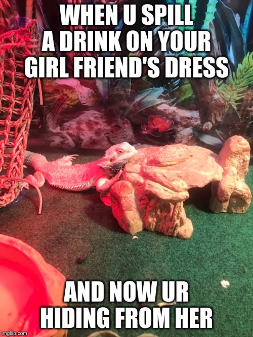 Hiding from your Girl Friend | WHEN U SPILL A DRINK ON YOUR GIRL FRIEND'S DRESS; AND NOW UR HIDING FROM HER | image tagged in girlfriend,hiding,oops | made w/ Imgflip meme maker