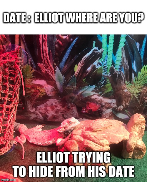 OOf | DATE :  ELLIOT WHERE ARE YOU? ELLIOT TRYING TO HIDE FROM HIS DATE | image tagged in party animal | made w/ Imgflip meme maker