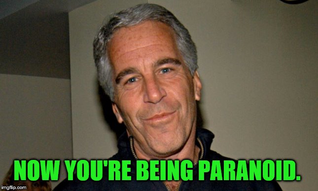 Jeffrey Epstein | NOW YOU'RE BEING PARANOID. | image tagged in jeffrey epstein | made w/ Imgflip meme maker