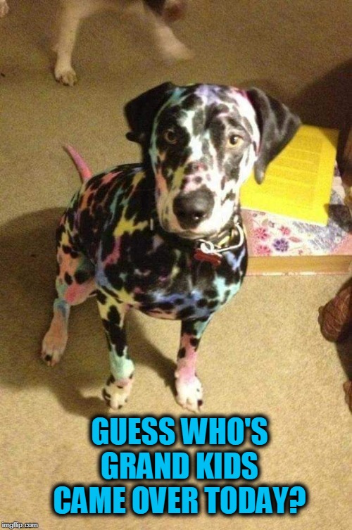 color my world | GUESS WHO'S GRAND KIDS CAME OVER TODAY? | image tagged in dogs,kids | made w/ Imgflip meme maker
