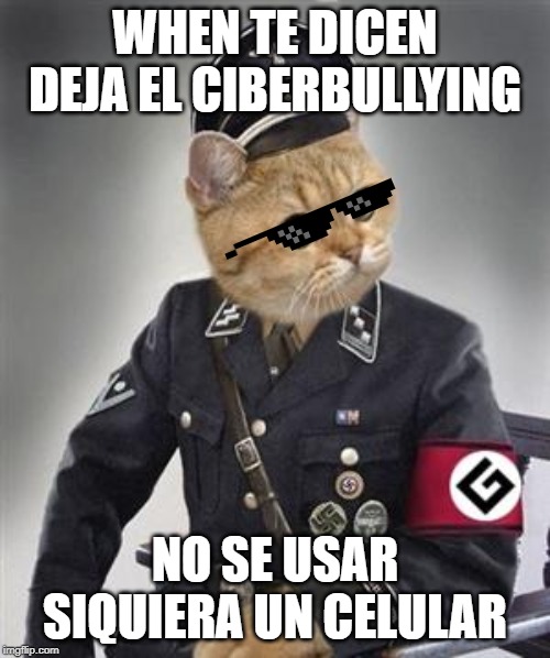 Grammar Nazi Cat | WHEN TE DICEN DEJA EL CIBERBULLYING; NO SE USAR SIQUIERA UN CELULAR | image tagged in grammar nazi cat | made w/ Imgflip meme maker