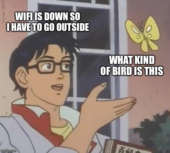 Is This A Pigeon Meme | WIFI IS DOWN SO I HAVE TO GO OUTSIDE; WHAT KIND OF BIRD IS THIS | image tagged in memes,is this a pigeon | made w/ Imgflip meme maker