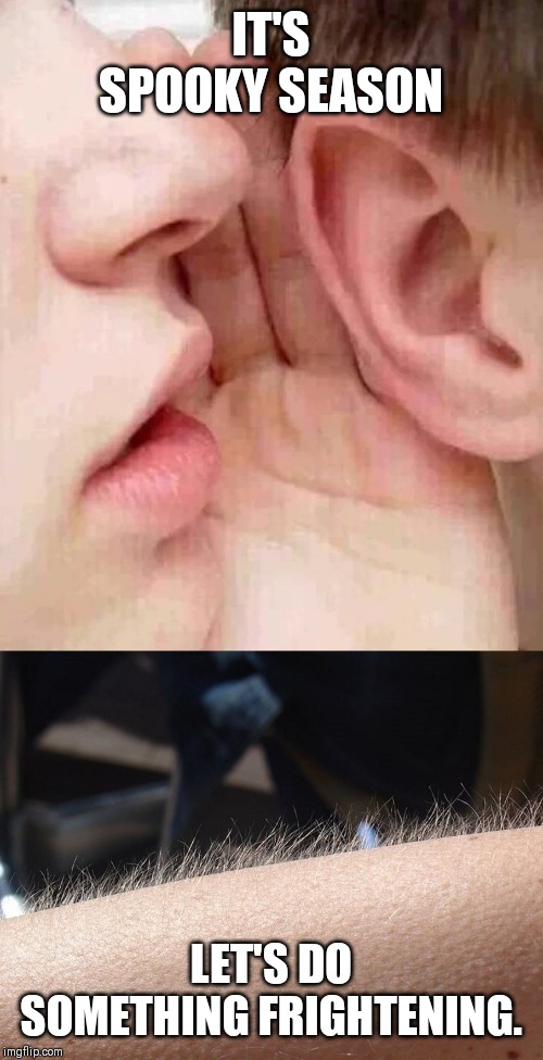 whisper in ear goosebumps | IT'S SPOOKY SEASON; LET'S DO SOMETHING FRIGHTENING. | image tagged in whisper in ear goosebumps | made w/ Imgflip meme maker