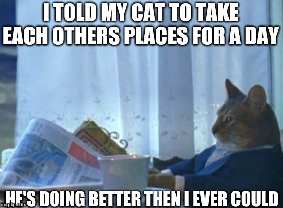 I Should Buy A Boat Cat | I TOLD MY CAT TO TAKE EACH OTHERS PLACES FOR A DAY; HE'S DOING BETTER THEN I EVER COULD | image tagged in memes,i should buy a boat cat | made w/ Imgflip meme maker