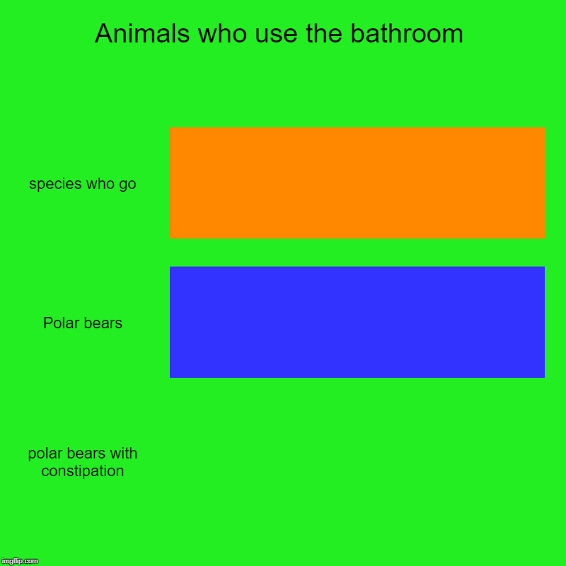 Animals who use the bathroom | species who go, Polar bears, polar bears with constipation | image tagged in charts,bar charts | made w/ Imgflip chart maker