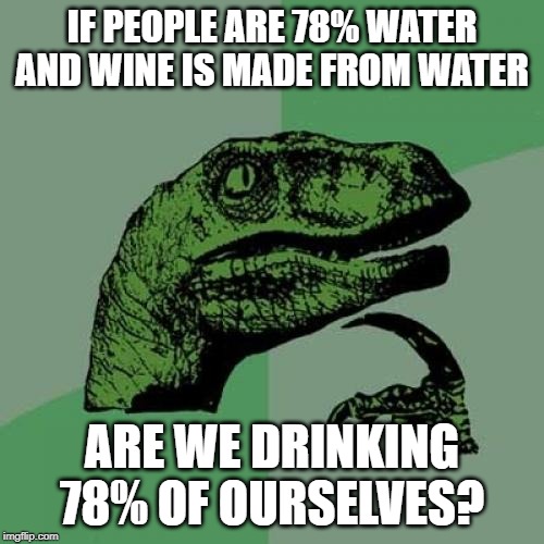 Philosoraptor Meme | IF PEOPLE ARE 78% WATER
AND WINE IS MADE FROM WATER; ARE WE DRINKING 78% OF OURSELVES? | image tagged in memes,philosoraptor | made w/ Imgflip meme maker