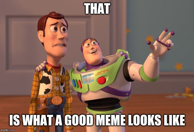 X, X Everywhere | THAT; IS WHAT A GOOD MEME LOOKS LIKE | image tagged in memes,x x everywhere | made w/ Imgflip meme maker