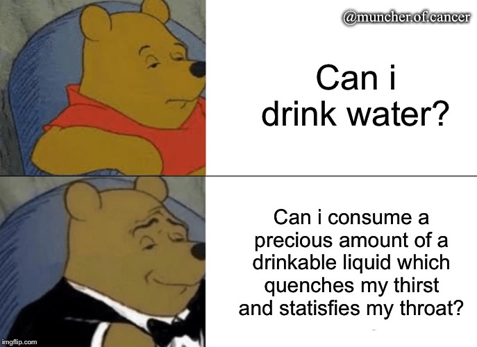 Tuxedo Winnie The Pooh | @muncher.of.cancer; Can i drink water? Can i consume a precious amount of a drinkable liquid which quenches my thirst and statisfies my throat? | image tagged in memes,tuxedo winnie the pooh | made w/ Imgflip meme maker