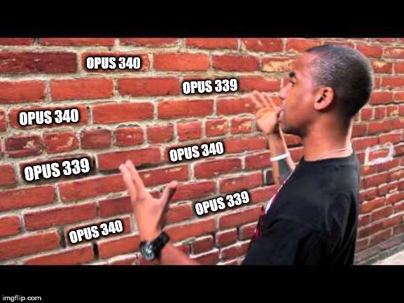 Brick wall guy | OPUS 340; OPUS 339; OPUS 340; OPUS 340; OPUS 339; OPUS 339; OPUS 340 | image tagged in brick wall guy | made w/ Imgflip meme maker