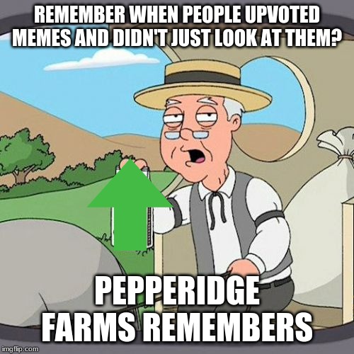 Pepperidge Farm Remembers | REMEMBER WHEN PEOPLE UPVOTED MEMES AND DIDN'T JUST LOOK AT THEM? PEPPERIDGE FARMS REMEMBERS | image tagged in memes,pepperidge farm remembers | made w/ Imgflip meme maker