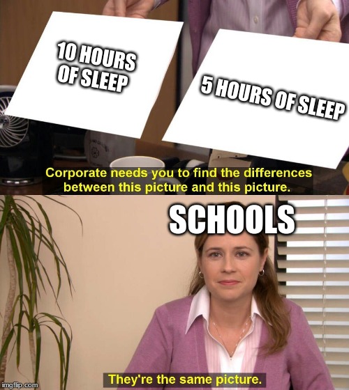 They are the same picture | 5 HOURS OF SLEEP; 10 HOURS OF SLEEP; SCHOOLS | image tagged in they are the same picture | made w/ Imgflip meme maker