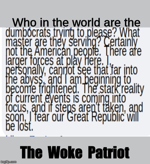 Who in the world are the; The  Woke  Patriot | image tagged in the woke patriot,our republic | made w/ Imgflip meme maker