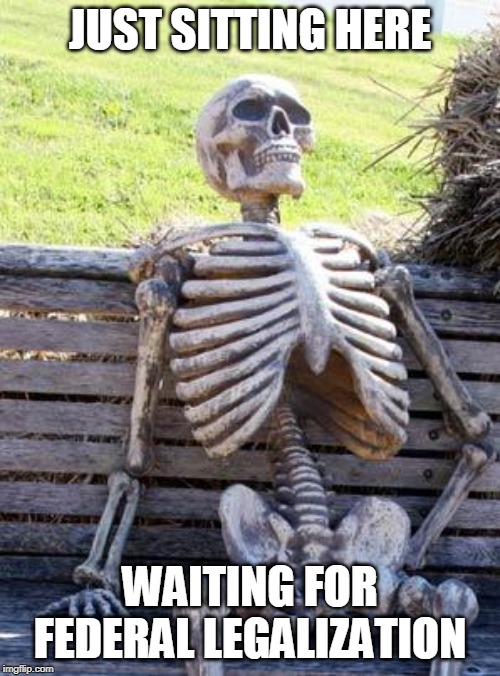 Waiting Skeleton | JUST SITTING HERE; WAITING FOR FEDERAL LEGALIZATION | image tagged in memes,waiting skeleton | made w/ Imgflip meme maker