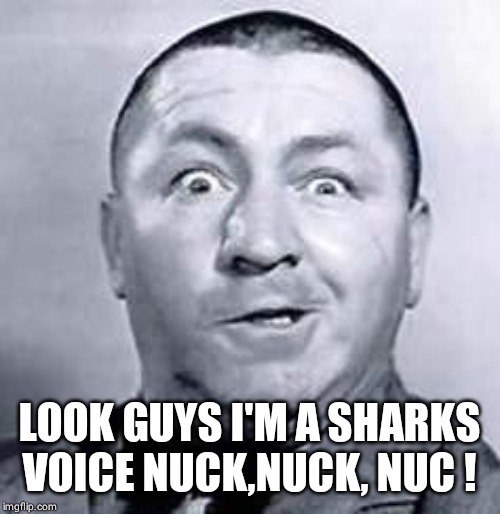 Curly | LOOK GUYS I'M A SHARKS VOICE NUCK,NUCK, NUC ! | image tagged in curly | made w/ Imgflip meme maker