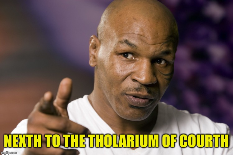 Mike Tyson  | NEXTH TO THE THOLARIUM OF COURTH | image tagged in mike tyson | made w/ Imgflip meme maker
