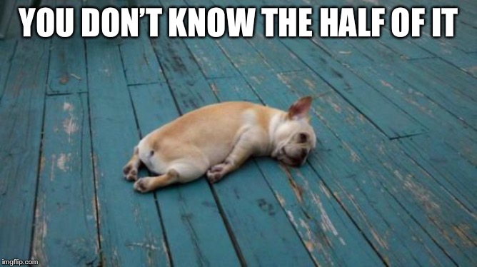 tired dog | YOU DON’T KNOW THE HALF OF IT | image tagged in tired dog | made w/ Imgflip meme maker