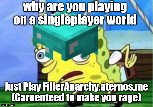 why are you playing on a singleplayer world; Just Play FillerAnarchy.aternos.me
(Garuenteed to make you rage) | image tagged in minecraft | made w/ Imgflip meme maker