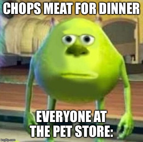Mike wasowski sully face swap | CHOPS MEAT FOR DINNER; EVERYONE AT THE PET STORE: | image tagged in mike wasowski sully face swap | made w/ Imgflip meme maker