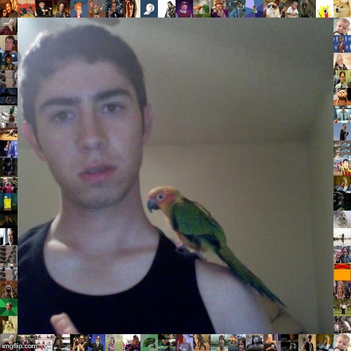 Parrot mike | image tagged in parrot mike | made w/ Imgflip meme maker