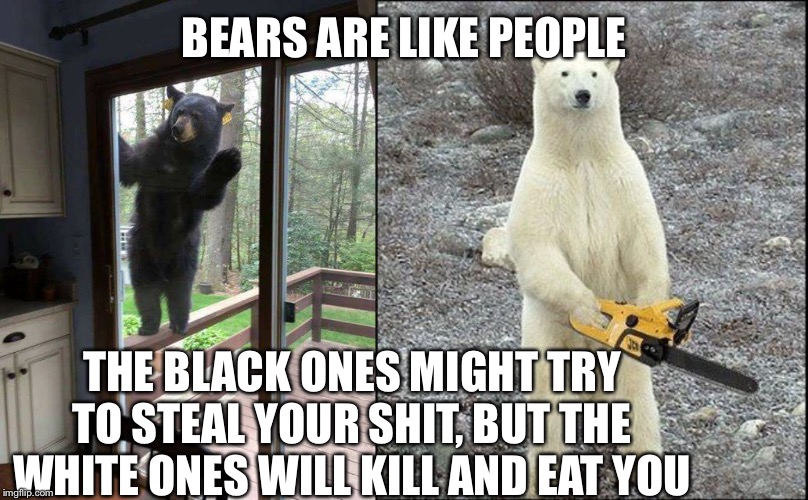 BEARS ARE LIKE PEOPLE; THE BLACK ONES MIGHT TRY TO STEAL YOUR SHIT, BUT THE WHITE ONES WILL KILL AND EAT YOU | image tagged in chainsaw polar bear,black bear on porch railing looking in sliding glass door | made w/ Imgflip meme maker